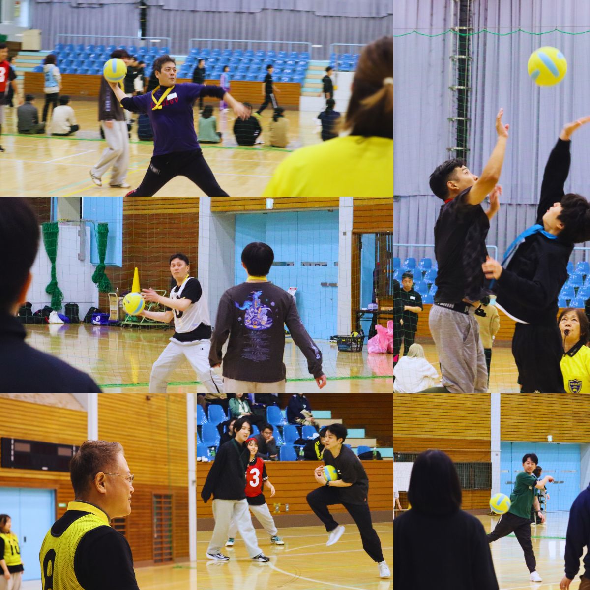 2025年10月24日開催メディアファイブ株式会社運動会 - ドッジボールの様子